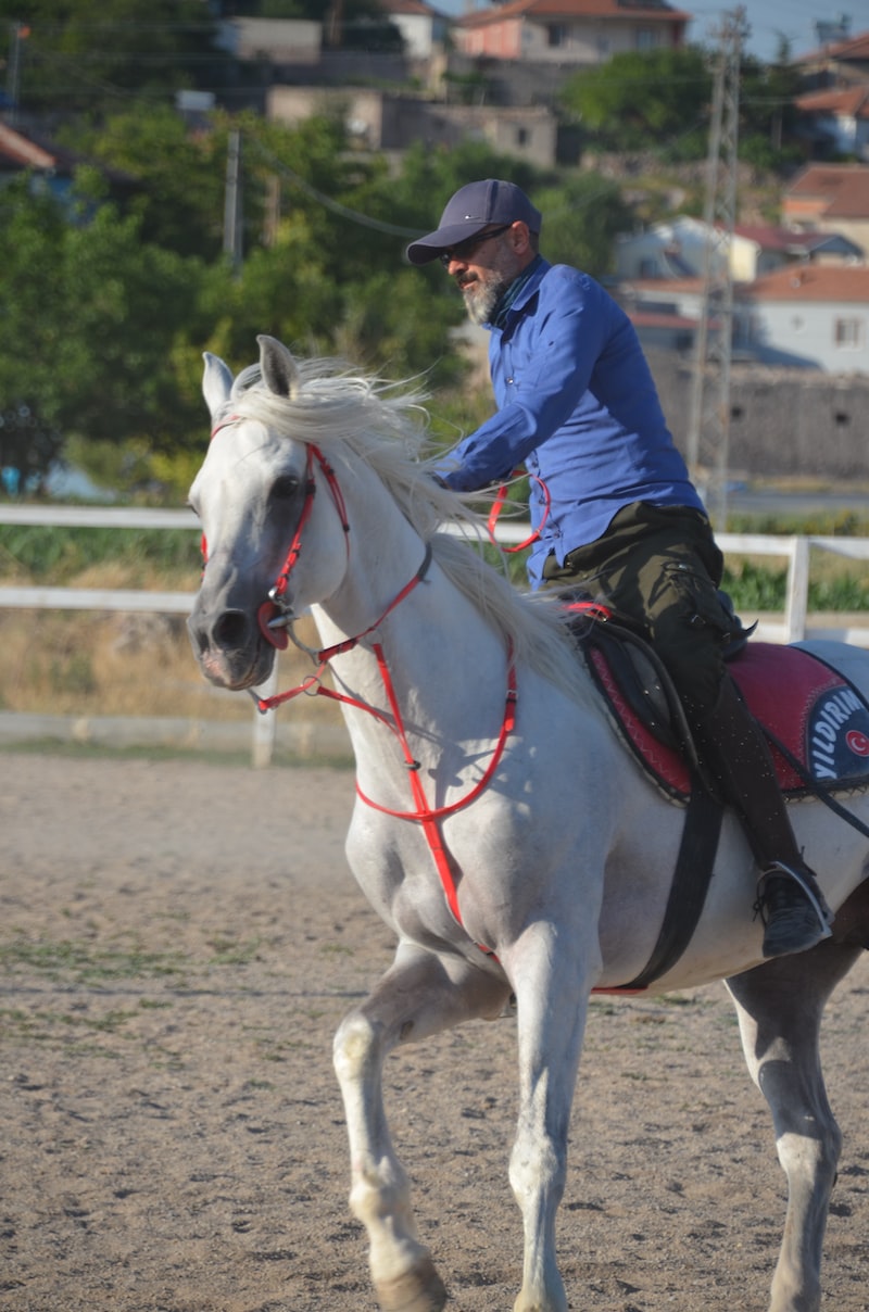 Spor Sözlüğü